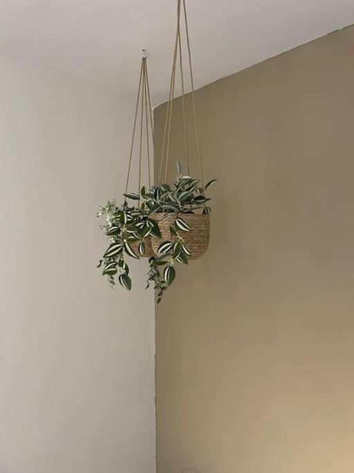 Almond Home Livadia  Екстериор снимка